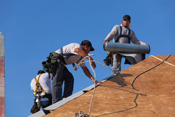 Best Roof Maintenance Services  in Freeport, FL